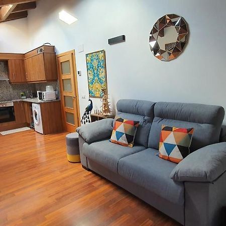 Ferienwohnung Cal Tranquil Camprodon, Acollidor Atic Al Centre Exterior foto