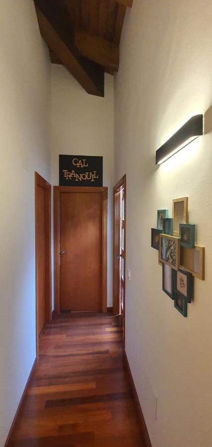 Ferienwohnung Cal Tranquil Camprodon, Acollidor Atic Al Centre Exterior foto