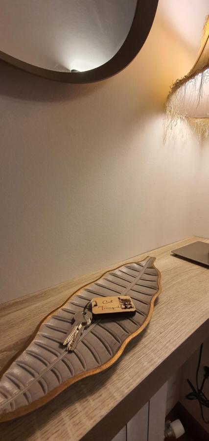 Ferienwohnung Cal Tranquil Camprodon, Acollidor Atic Al Centre Exterior foto
