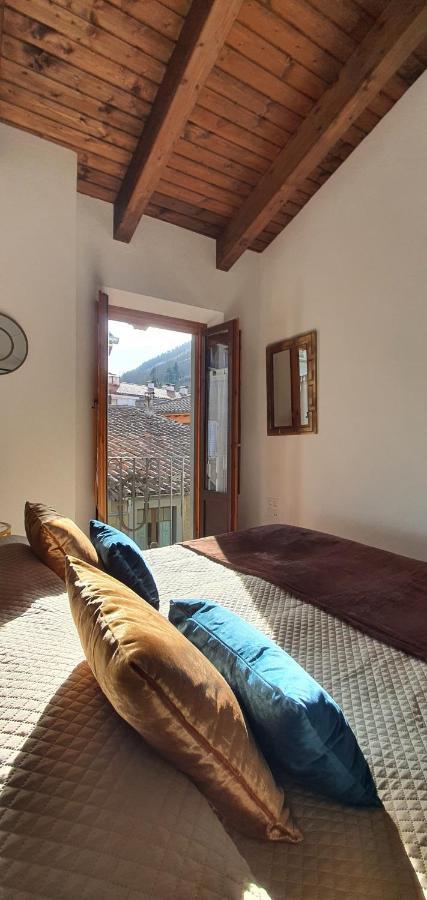 Ferienwohnung Cal Tranquil Camprodon, Acollidor Atic Al Centre Exterior foto
